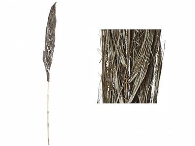 VARA PALMA DE DATIL BLANCA 145 cms