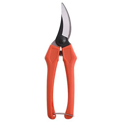 WOLFPACK LINEA PROFESIONAL - 8270440 Tesoura vintage curva 1 mão P20/18 cm.