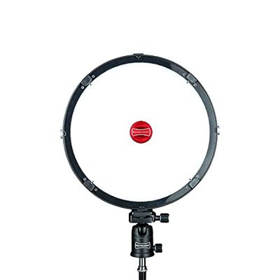 Rotolight AEOS 2 Single Light - A Portable Single Light RGBW LED per foto e video con Flash HSS integrato