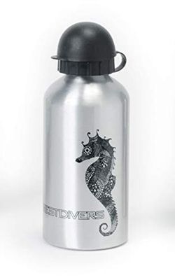 Best Divers Drinkfles aluminium, grijs