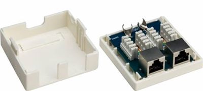 Goobay 77635 2 Puerto RJ45 Conector Lata, Cat 6, STP