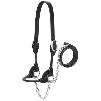 Weaver Leather Dairy/Manzo arrotondati Show Halter, Black