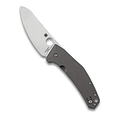 SPYDERCO Spydie Chef, Deportes, INOX