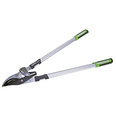 Draper 94985 - Troncarami a cricchetto, 750 mm, colore: Verde e Nero