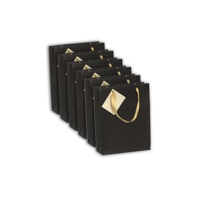 Clairefontaine 212885Cpack – een set van 5 premium geschenkzakjes – middelgroot formaat – 17 x 6 x 22 cm – 210 g – motief: zwart – geschenkverpakking, ideaal voor: boek, spel, kleintjes