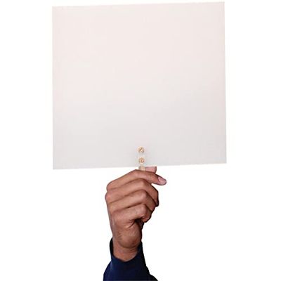 3B Scientific U17130 Projection Screen