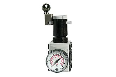 RIEGLER 100060-FU 7304 FUTURA BG 1 G 3/8 Régulateur de pression 0,2-4 bar