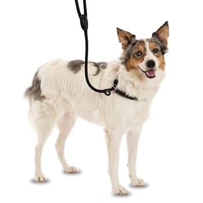 COMPANY OF ANIMALS 3-en-1 Correa Deslizante - Collar, correa y collar ronzal. Fácil de usar, suave, duradero y resistente a la intemperie. Ideal para el entrenamiento de perros. (Talla S, Marrón)