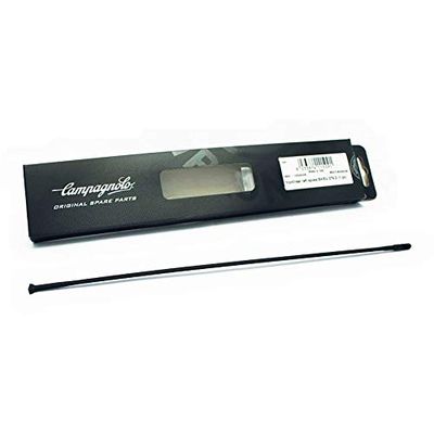 1 x campag-radio Shamal/ultra-achterlicht links