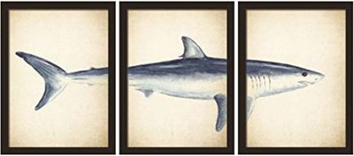 Walplus Pegatinas de pared con diseño de tiburón blanco murales para sala de estar, guardería, escuela, restaurante, hotel, cafetería, oficina, decoración del hogar, vinilo, multicolor, 40 x 30 x 0,03 cm