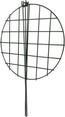 Windhager Griglia di supporto per fiori, diametro: 35 x 60 cm, verde