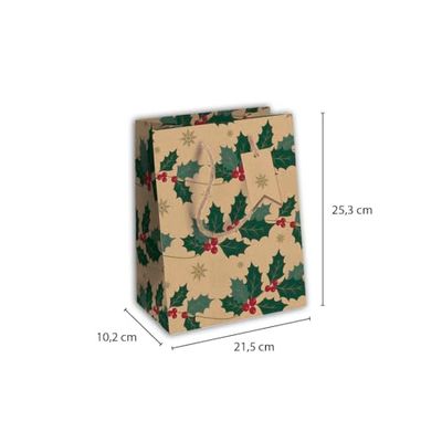 Clairefontaine X-31331-3Cpack geschenkzakjes, kraftpapier, middelgroot, 21,5 x 10,2 x 25,3 cm, 210 g, motief: kersthulst, geschenkverpakking, ideaal voor: boek, spel, kleine geschenken