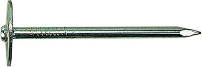 Fs leichtbauplattenstifte 891700-31/40 2.5 kg