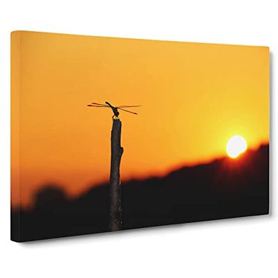 Dragonfly Insect No.5 Modern Canvas Wall Art Print Ready to Hang, Framed Picture for Living Room Bedroom Home Office Décor, 24x16 Inch (60x40 cm)