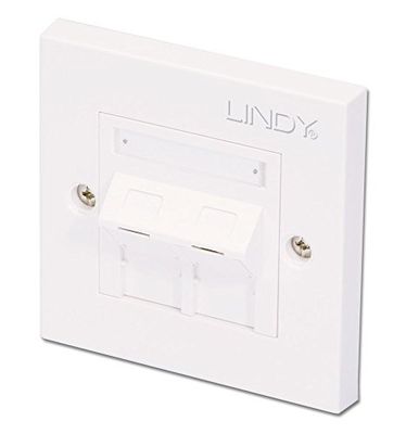 LINDY - Piastra Singola da Parete CAT5e con Presa 2X RJ-45