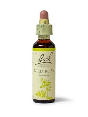Bach Original Flower Remedies (Wild Rose) Live The Day, Show Enthusiasm, Emotional Wellness, Natural Flower Essence, 20ml