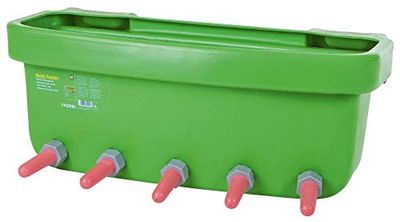 Bañera para bebedero Multi Feeder sin ventosa Big Softy