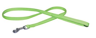 CROCI Soft Refl Laisse en Nylon pour Chien Vert 25 x 1200 mm
