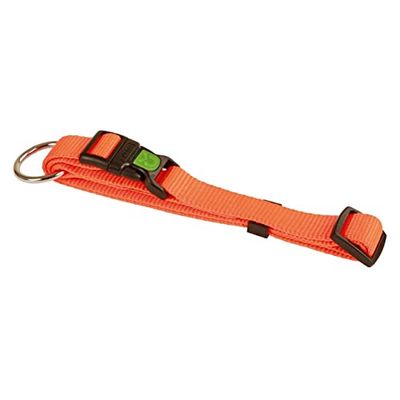Kerbl Miami - Collar para Perro (45-65 cm), Color Naranja
