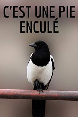 Carnet de notes "C'est une pie enculé"