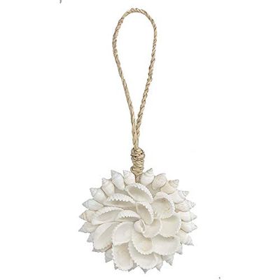 VIE Naturals Diseño 05 Shell Hecho a Mano Fuera de la Florida, 12 cm Longitud