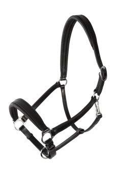 PFIFF Platine, Dundee Licol en Cuir Marron, Full