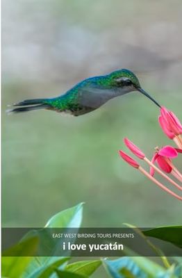 I Love Yucatan: Bird Checklist