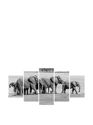 My Art Gallery Set Pannello Decorativo 5 Pz.