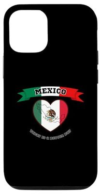 iPhone 15 Pro Mexico Flag Heritage I Love Heart Map Mexican Fan Case