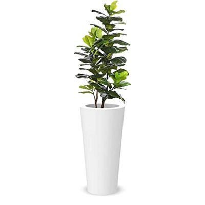 Elly Décor Fioriera, 61 x 28 cm, bianco