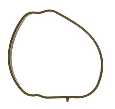MISSLÅLIG GASKET