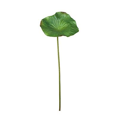 EUROCINSA REF.40037C54 LOTUS GREEN SHEET, Box of 6pcs, 76cm