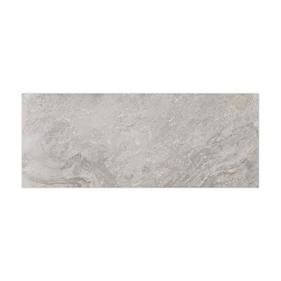 PORCELANOSA - 100293271 - Image Silver 59.6X150