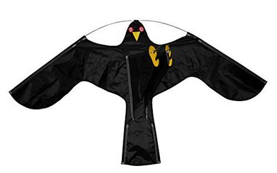 HOME It® Effaroucheur d’Oiseaux avec mât télescopique 4 m – Faucon réaliste en Nylon & Carbone avec Piquet de Sol