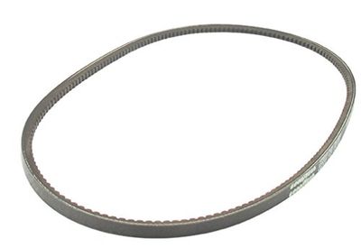 Greenstar 11137 SPZX925 Pasek klinowy zębaty 9,5 x 925 mm