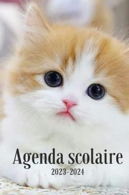 AGENDA SCOLAIRE 2023-2024: CHAT- organisateur journalier - 2 jours par page