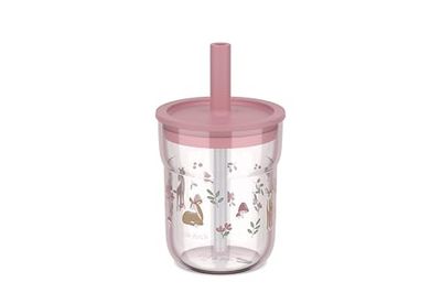 Mepal Children's Glass with Straw Mio Little Dutch, Flexible Lid with Insect-Proof Straw, Suitable for All Types of Liquids, Spill-Proof, Dishwasher Safe & BPA-Free, 250 ml, Fairy Garden