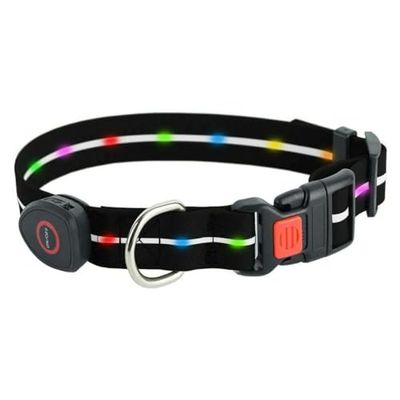 Doggy Village Correa para Perro MT7114 Negro 60 cm