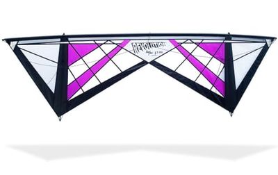 Revolution Kites – 4 linjer drake reflex 1,5 RX spindelnät, lila