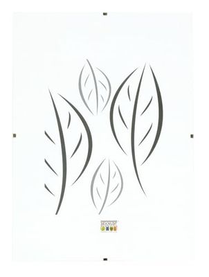 Deknudt Frames S200M9-40.0X60.0 - Moldura de fotos (vidro, 62 x 42 x 1,5 cm)