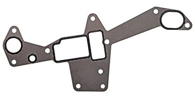 MISSLÅLIG GASKET