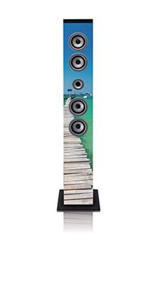 Lenco iCes IBT-6 Altoparlante Bluetooth da 40 Watt di potenza musicale (radio FM, USB, lettore di schede SD, AUX), telecomando