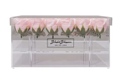 Blush & Blossom Rose Fleurs 36-Pièce dans Dégager Boîte, Blush