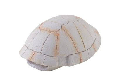 Exoterra Tortoise Skeleton Décoration pour Reptile/Amphibien Taille S