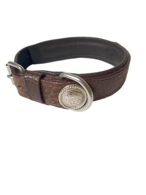 Dog Collar Halsband XL 17-23 Inches