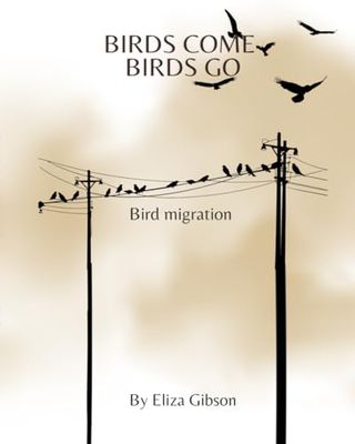 Birds Come Birds Go: A Children's Book Discovering the Magic of Bird Migration