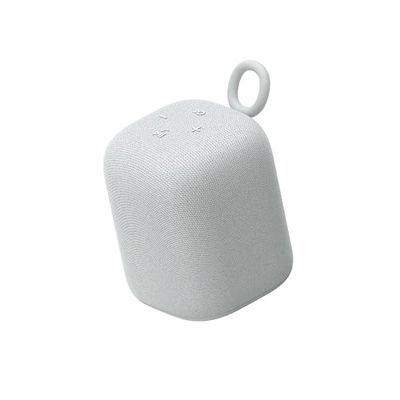 Sony Enceinte LinkBuds - Enceinte Portable sans Fil Bluetooth, IPX4, Résistante à l'eau, Batterie de 25 Heures, Qualité d'Appel Clair, Outdoor, Voyage -Gris Clair