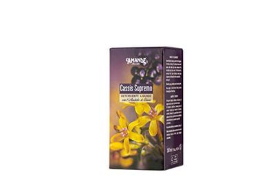 L'AMANDE - Sapone Liquido Mani e Corpo Fresco e Delicato, Bagnoschiuma Gel Detergente Nutriente e Idratante, Sapone Mani e Docciaschiuma Naturale dalle Note Verdi e Agrumate - Cassis Supremo, 300 ml