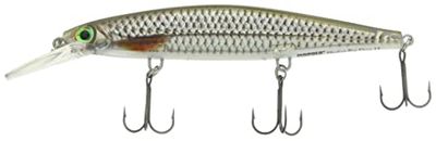 Rapala - Leurre de Pêche Shadow Rap Deep - Matériel de Pêche d'Eau Douce - Leurre Pêche Réactif et Agressif - Prof de Nage 1.2-2.4m - Taille 11cm / 13g - Fabriqué en Estonie - Live Roach