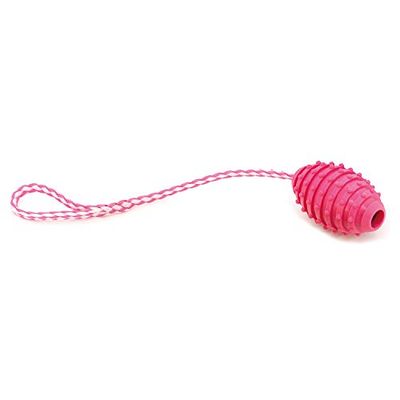 Arquivet Dog Toy with Shooter - Pink - Thermoplastic 10 cm
